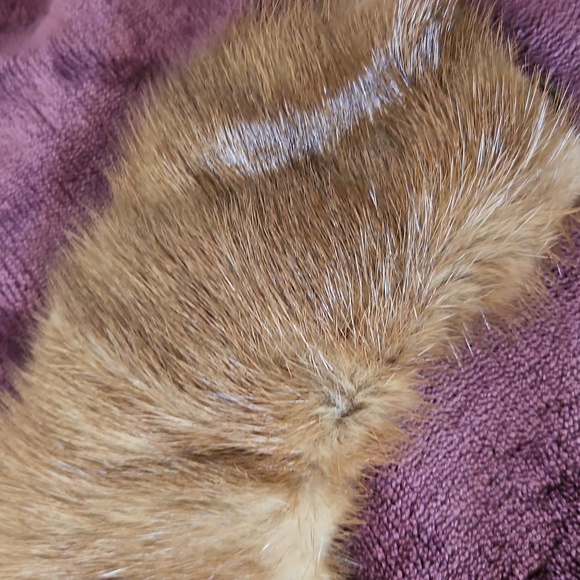 Vintage Mink Collar - Picture 9 of 9